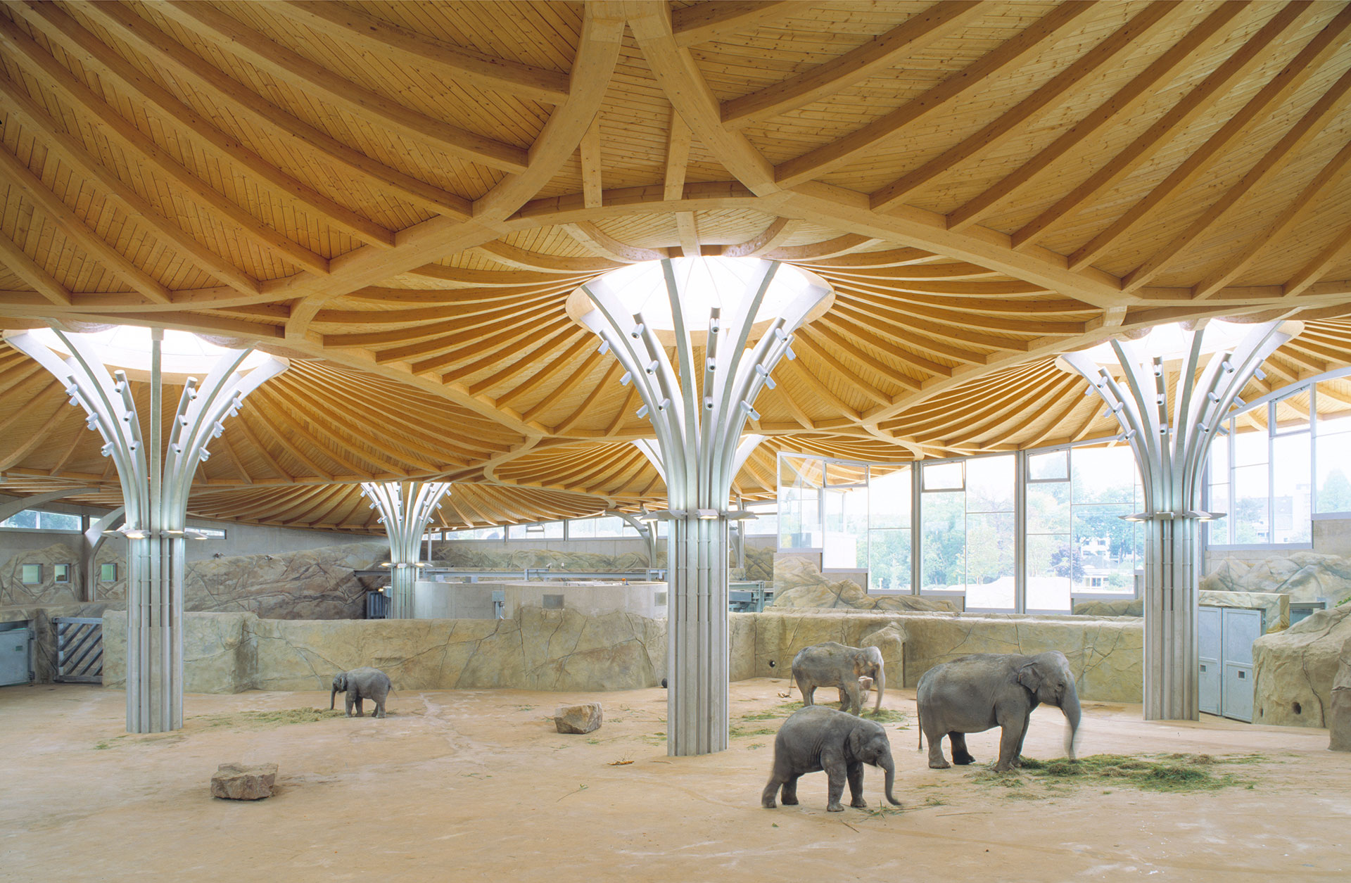 Elefantenhaus Zoo Köln